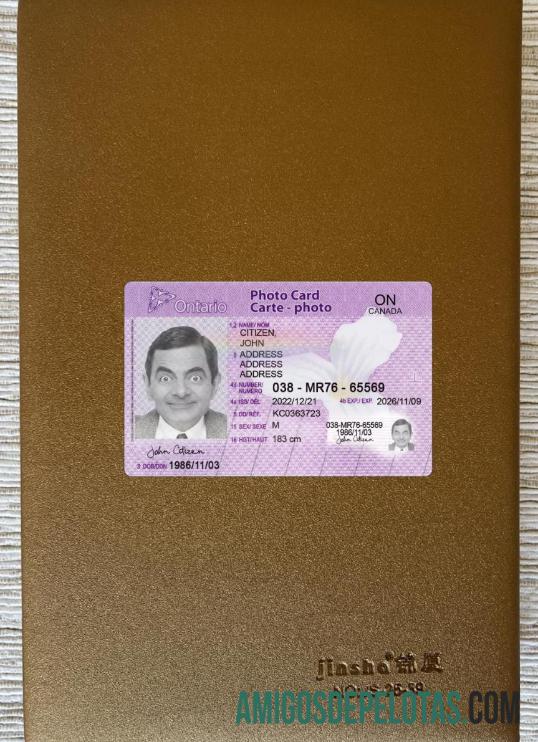 Canada Ontario Photo Card olhar de foto frente modelo